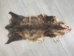 Longer North American Opossum Skin: Gallery Item - 527-G4667 (Y1KWR)