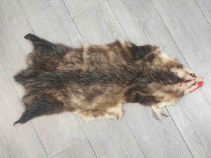 Longer North American Opossum Skin: Gallery Item 