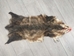 Longer North American Opossum Skin: Gallery Item - 527-G4667 (Y1G)
