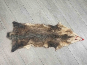Longer North American Opossum Skin: Gallery Item 