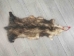 Longer North American Opossum Skin: Gallery Item - 527-G4669 (Y1KWR)
