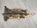 Longer North American Opossum Skin: Gallery Item - 527-G4669 (Y1G)