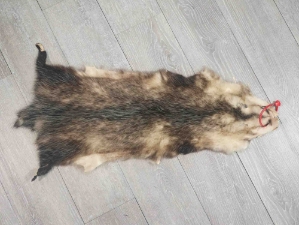 Longer North American Opossum Skin: Gallery Item 