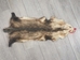 Longer North American Opossum Skin: Gallery Item - 527-G4671 (Y1G)