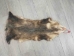 Longer North American Opossum Skin: Gallery Item - 527-G4672 (Y1KWR)