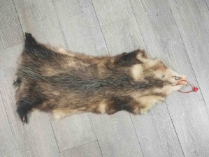 Longer North American Opossum Skin: Gallery Item 