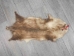 Longer North American Opossum Skin: Gallery Item - 527-G4673 (Y1KWR)