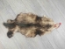 Longer North American Opossum Skin: Gallery Item - 527-G4674 (Y1KWR)
