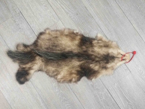 Longer North American Opossum Skin: Gallery Item 