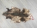 Longer North American Opossum Skin: Gallery Item - 527-G4676 (Y1KWR)