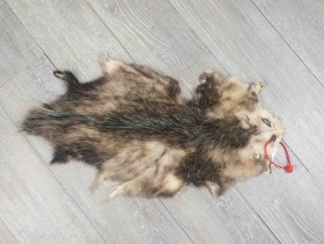 Longer North American Opossum Skin: Gallery Item 