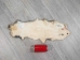 Longer North American Opossum Skin: Gallery Item - 527-G4677 (Y1KWR)