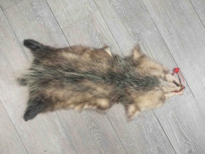 Longer North American Opossum Skin: Gallery Item 