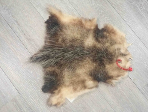 Wider North American Opossum Skin: Gallery Item 