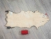 Big North American Opossum Skin: Gallery Item - 527-G4681 (Y1K)