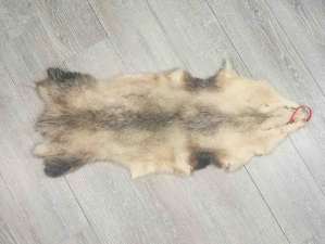 Big North American Opossum Skin: Gallery Item 
