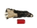 Skunk Skin without Tail: Gallery Item - 54-G6560 (Y1KWR)