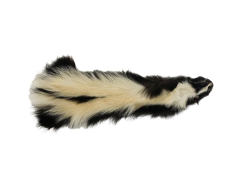 Skunk Skin without Tail: Gallery Item skunk hides, skunk pelts, skunk furs