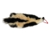 Skunk Skin without Tail: Gallery Item - 54-G6563 (Y1K)