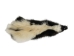 Skunk Skin without Tail: Gallery Item - 54-G6564 (Y1KWR)