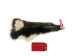 Skunk Skin without Tail: Gallery Item - 54-G6566 (Y1KWR)