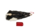 Skunk Skin without Tail: Gallery Item - 54-G6567 (Y1KWR)