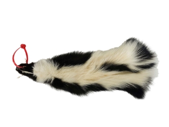 Skunk Skin without Tail: Gallery Item skunk hides, skunk pelts, skunk furs