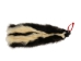 Skunk Skin without Tail: Gallery Item - 54-G6569 (Y1KWR)