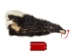 Skunk Skin without Tail: Gallery Item - 54-G6570 (Y1KWR)
