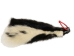 Skunk Skin without Tail: Gallery Item - 54-G6570 (Y1KWR)