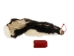 Skunk Skin without Tail: Gallery Item - 54-G6571 (Y1KWR)