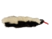 Skunk Skin without Tail: Gallery Item - 54-G6571 (Y1KWR)