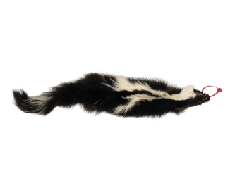 Skunk Skin with Tail: Gallery Item skunk hides, skunk pelts, skunk furs