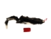 Skunk Skin with Tail: Gallery Item - 54-G6578 (Y1KWR)