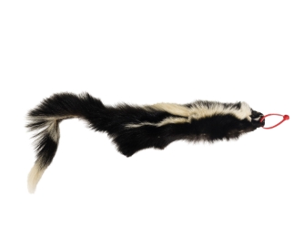 Skunk Skin with Tail: Gallery Item skunk hides, skunk pelts, skunk furs