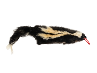 Skunk Skin with Tail: Gallery Item skunk hides, skunk pelts, skunk furs