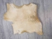 Goat Rawhide Skin: Small: Gallery Item - 55-50S-G4724 (Y2JRP)