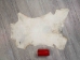 Goat Rawhide Skin: Small: Gallery Item - 55-50S-G4725 (Y2JRK)