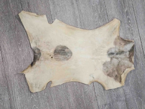 Goat Rawhide Skin: Small: Gallery Item 
