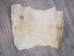 Goat Rawhide Skin: Small: Gallery Item - 55-50S-G4726 (Y2JRP)