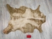 Goat Rawhide: Extra Large: Gallery Item - 55-50XL-G4747 (Y2JRP)