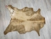 Goat Rawhide: Extra Large: Gallery Item - 55-50XL-G4747 (Y2JRP)