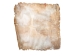 Brightened Goat Rawhide: Extra Large: Gallery Item - 55-52XB-G6370 (Y2JRK)