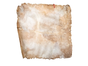 Brightened Goat Rawhide: Extra Large: Gallery Item 