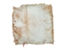 Brightened Goat Rawhide: Extra Large: Gallery Item - 55-52XB-G6371 (Y2JRO)