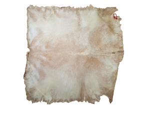 Brightened Goat Rawhide: Extra Extra Large: Gallery Item 