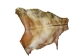 Horse Rawhide: Gallery Item - 55-90-R-G8508 (Y2JXX)