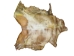 Horse Rawhide: Gallery Item - 55-90-R-G8508 (Y2JXX)