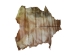 Horse Rawhide: Gallery Item - 55-90-R-G8509 (Y2JXX)