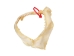 Bull Shark Jaw 9.5": Gallery Item - 561-J16-09-G4619 (Y3KRF)